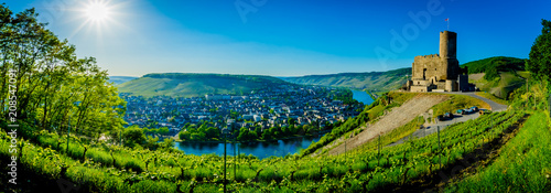 Moseltal - Germany Obraz na płótnie