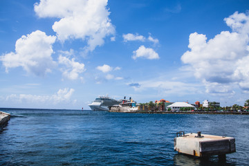 Wall Mural - Cruise Ship Beyond Harbor