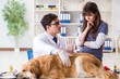 © Elnur - Doctor and assistant checking up golden retriever dog in vet cli
