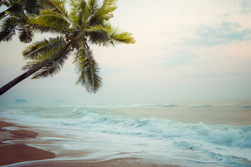Wall Mural - Seascape with wave foam and palm tree at tropical beach background in vintage nature style.