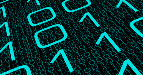 Binary code transformation, network search