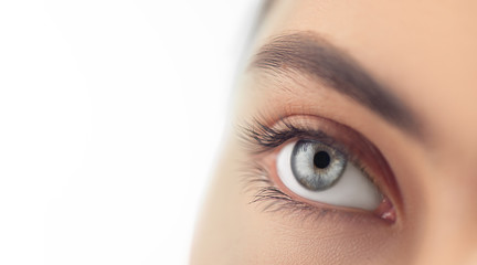 Young woman blue eye closeup. Macro eye looking up, isolated on white background