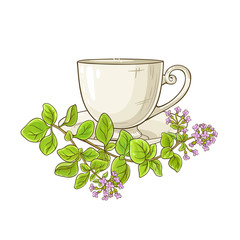 Poster - oregano tea illustration