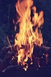 © iaroslav_brylov - fire wood nature