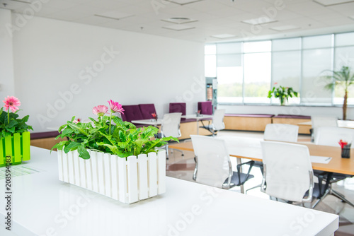 Selective Focus On Pink Flowers In The Pot With Blurred Background Of Light Interior Of Empty Open Space Office With Desks And Chairs Coworking Workplace Concept Eco Friendly Business Copy Space,Paint Colors That Go With Dark Grey Tile