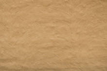 Closeup Shot Of A Mud Wall Texture