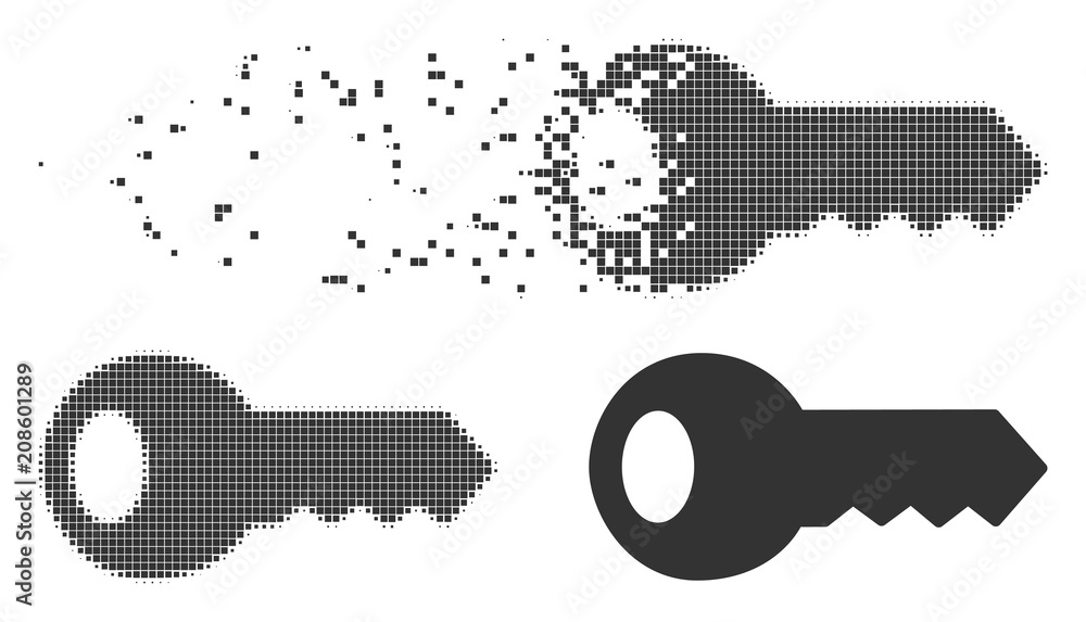 Gray vector key icon in dispersed, dotted halftone and undamaged entire ...