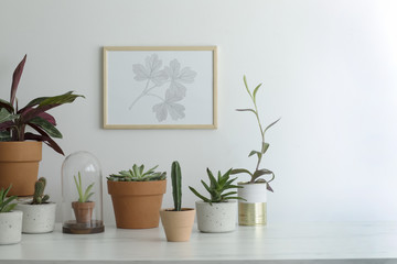 Wall Mural - The stylish room filled with a lot of modern plants in different clay pots. Modern composition of home garden with mock up poster frame.