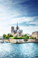 Wall Mural - Notre Dame de Paris