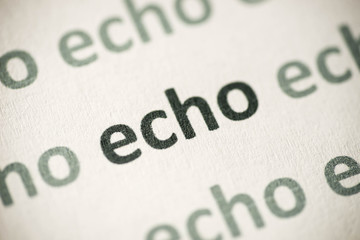 Canvas Print - word echo printed on paper macro