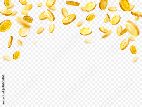 Cuadros en Lienzo Earnings gold money rain