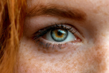 close up of one eye of young red ginger freckled woman with perfect healthy freckled skin, looking a