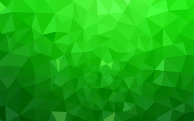 Poster - light green vector low poly texture.