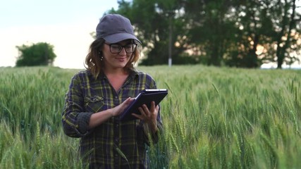 Wall Mural - A woman farmer examines the field of cereals and sends data to the cloud from the tablet. Smart farming and digital agriculture. Slow motion