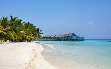 Sticker - Unique beauty of blue lagoon in Maldives