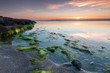 Sonnenuntergang an der Ostsee auf der Insel Rügen. Sonnenuntergang mit grünen Algen, Seegras.