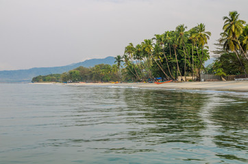 Wall Mural - Calm water, palm trees and white sand beach at Tokeh Beach, south of Freetown, Sierra Leone, Africa