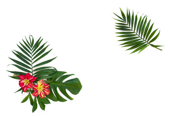 Wall Mural - Frame of tropical leaves palm tree and monstera with red yellow flowers on a white background with space for text. Top view, flat lay.