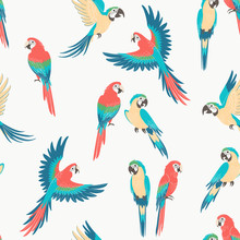 Seamless Pattern Of Sitting And Flying Macaw Parrots