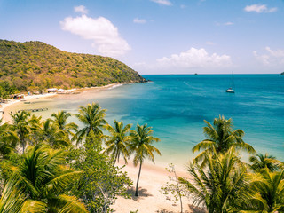 Aerial view of Mayreau beach in St-Vincent and the Grenadines - Tobago Cays. The paradise beach with palm trees and white sand beach