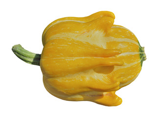 Sticker - Yellow pumpkin 4