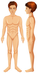 Sticker - Male Body on White Background