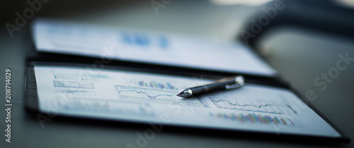 Fotomural Drawings and charts of successful business.