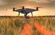 Drone flying above wheat field and mapping