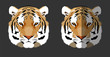 Tiger Kopf Gesicht Icon App 