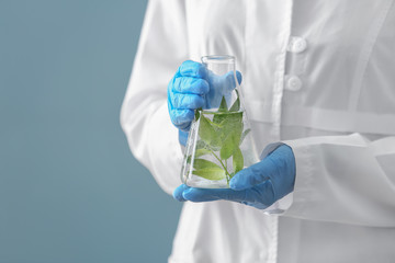 Scientist holding flask with plant on color background