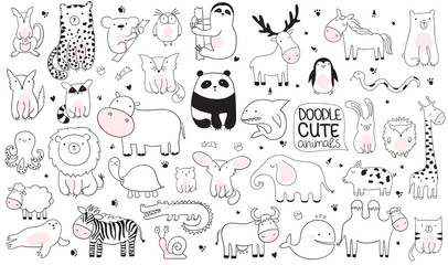 vector cartoon big set of cute doodle animals