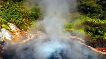 Geyser in Rotorua, New Zealand