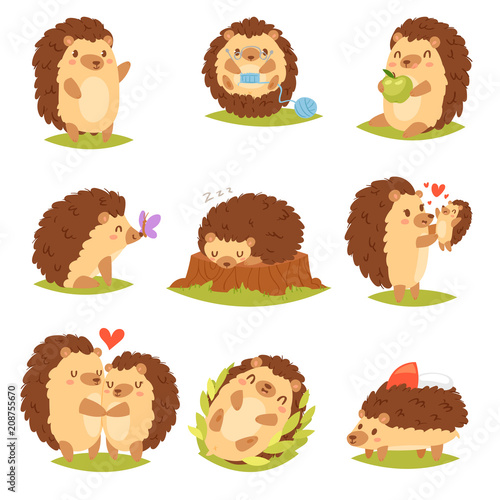 Fotomural Hedgehog vector cartoon prickly animal character child with love heart in nature