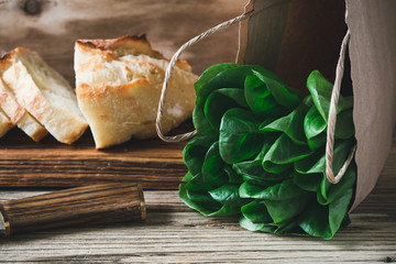 Wall Mural - Green salad and freshly cut bread