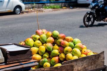 Wall Mural - Sweet mango fruits at market, India.