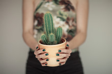 Woman Hands Holding A Cactus, With Perfect Green Nail Polish, Can Be Used As Background
