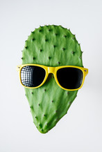 Green Cactus With Sunglasses On White Background. Creative Minimal Concept.