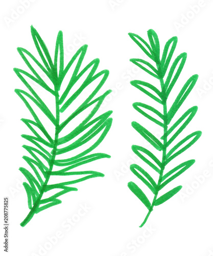 Set Of Two Bright Green Simple Abstract Palm Tree Leaves Painted