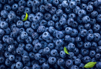 fresh blueberry