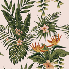 Wall Mural - Exotic composition flowers and plants