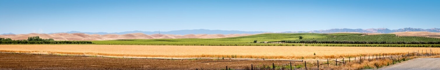 A panoramic of a wheat field with a vineyard, mountains and a blue sky. A plowed field is in the foreground.