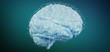 © Production Perig - 3d rendering artificial brain isolated on a background