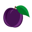 Vector illustration icon of a plum