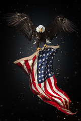 Wall Mural - Bald Eagle flying with American flag
