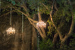 Chandeliers and lights hanging from trees in the woods