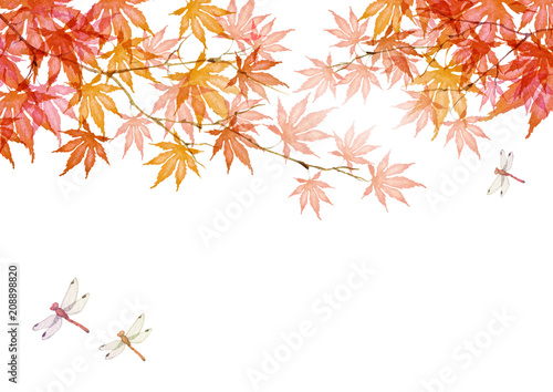 秋 紅葉 赤とんぼ 背景 水彩 イラスト Buy This Stock Illustration And Explore Similar Illustrations At Adobe Stock Adobe Stock