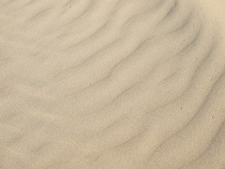 Poster - Sand texture.Dented wave of the blow of the wind