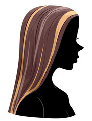 Wall Mural - Silhouette Girl Highlights Hair Illustration