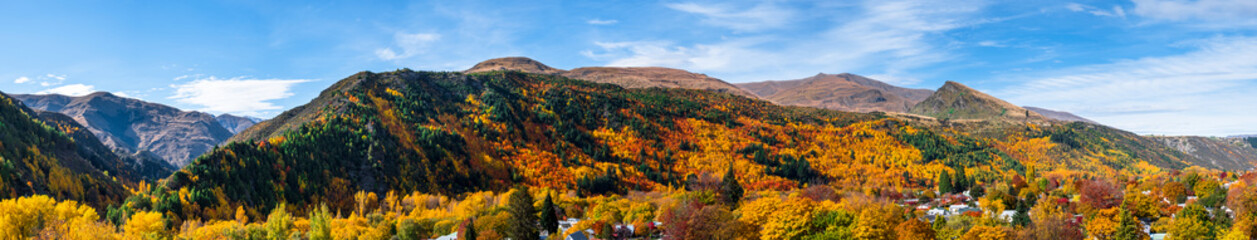 Wall Mural - Panorama view of Arrowtown, New Zealand. Beautiful green yellow orange and red autumn trees with the town.