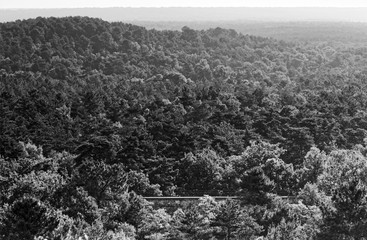 Poster - aqueduc de la Vanne en forêt de fontainebleau en noir et blanc